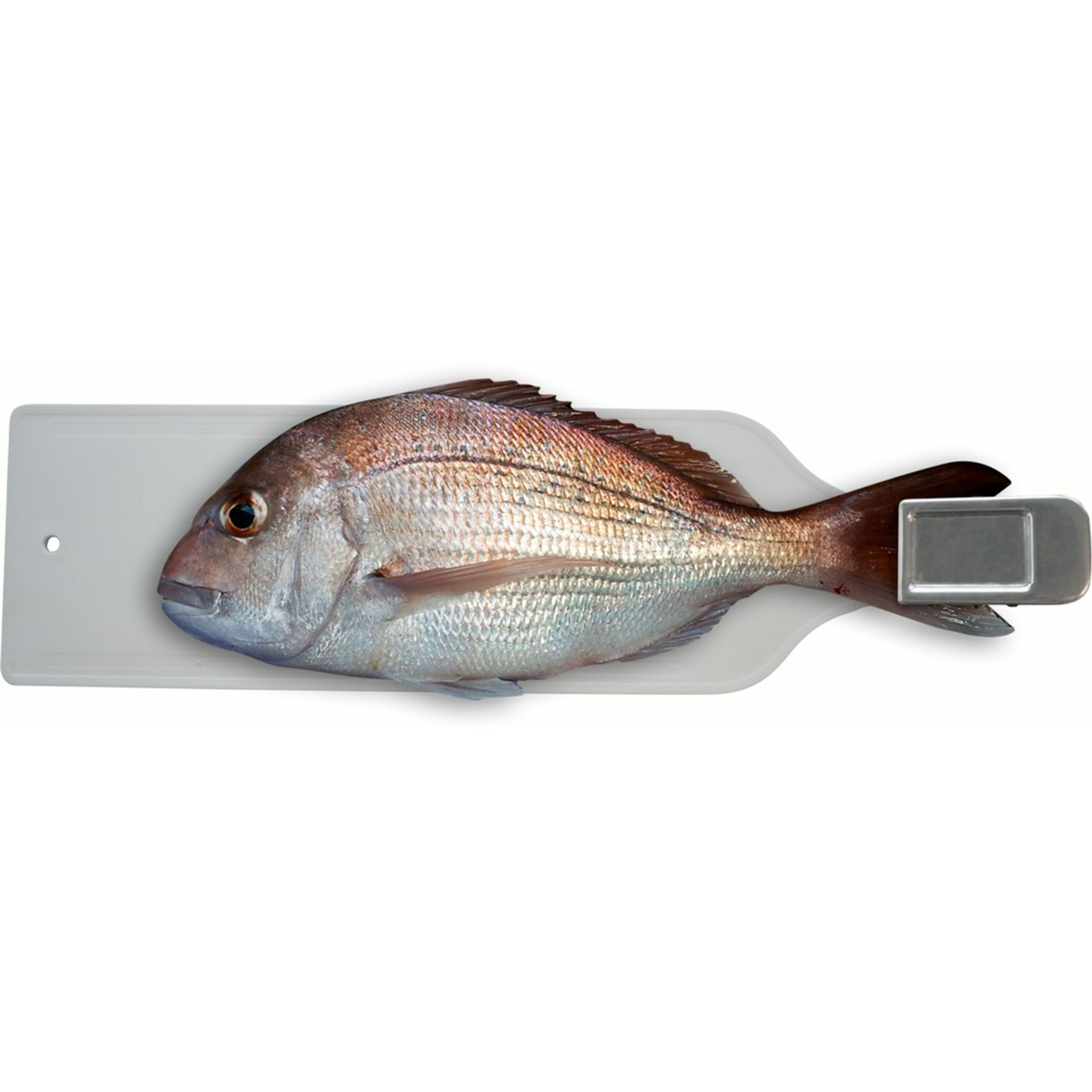 Burnsco Filleting Board