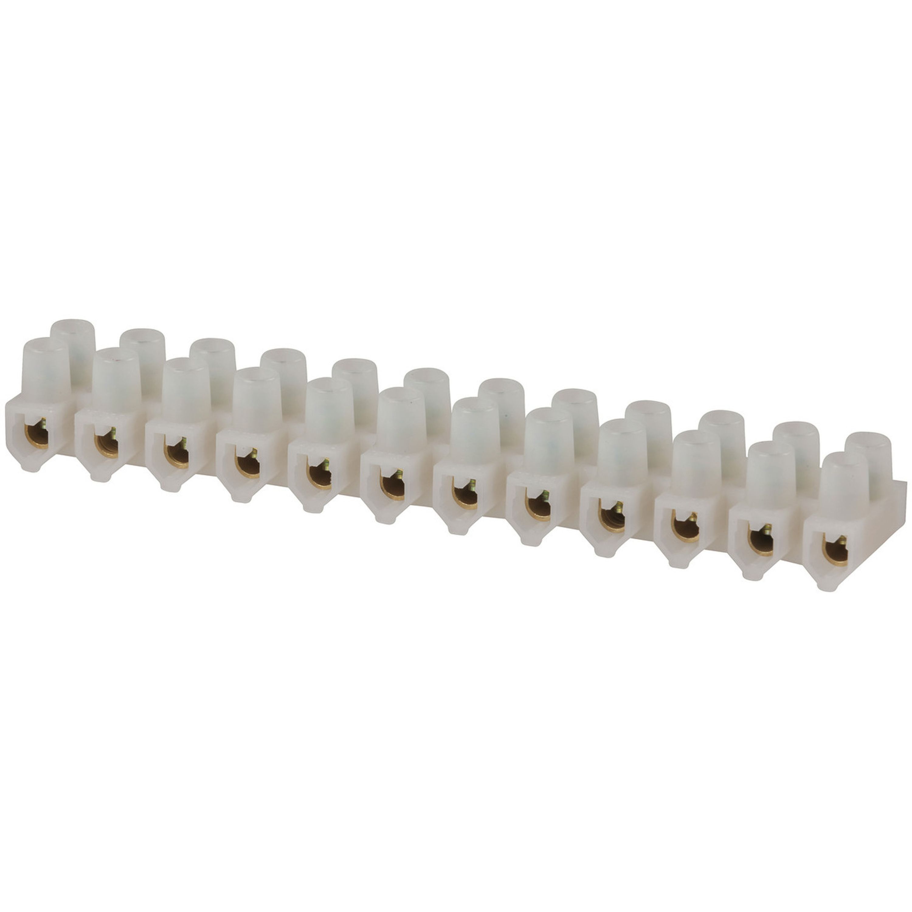 15 Amp 12-way Screw Terminal Strip