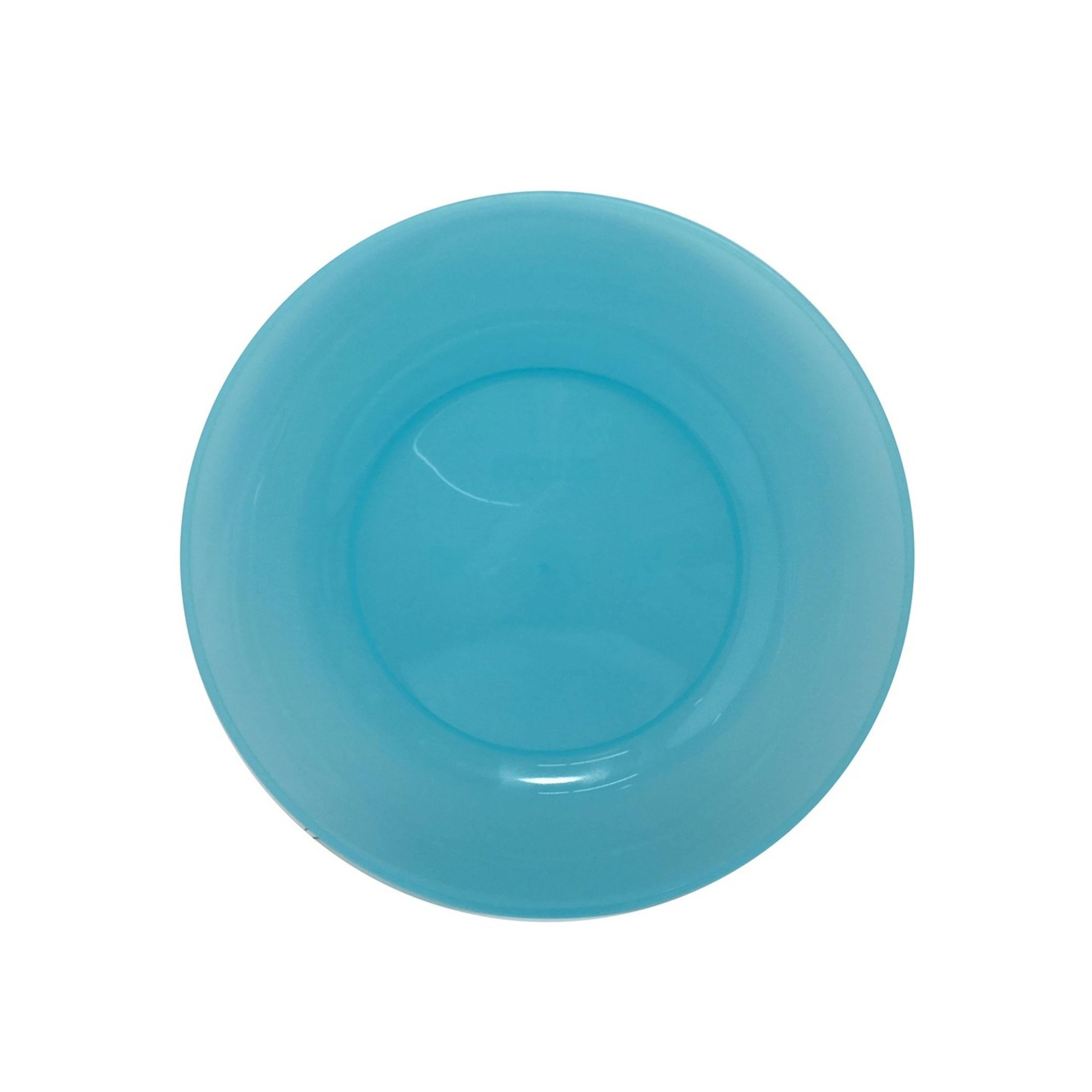 25.4cm Large Dinner Plate