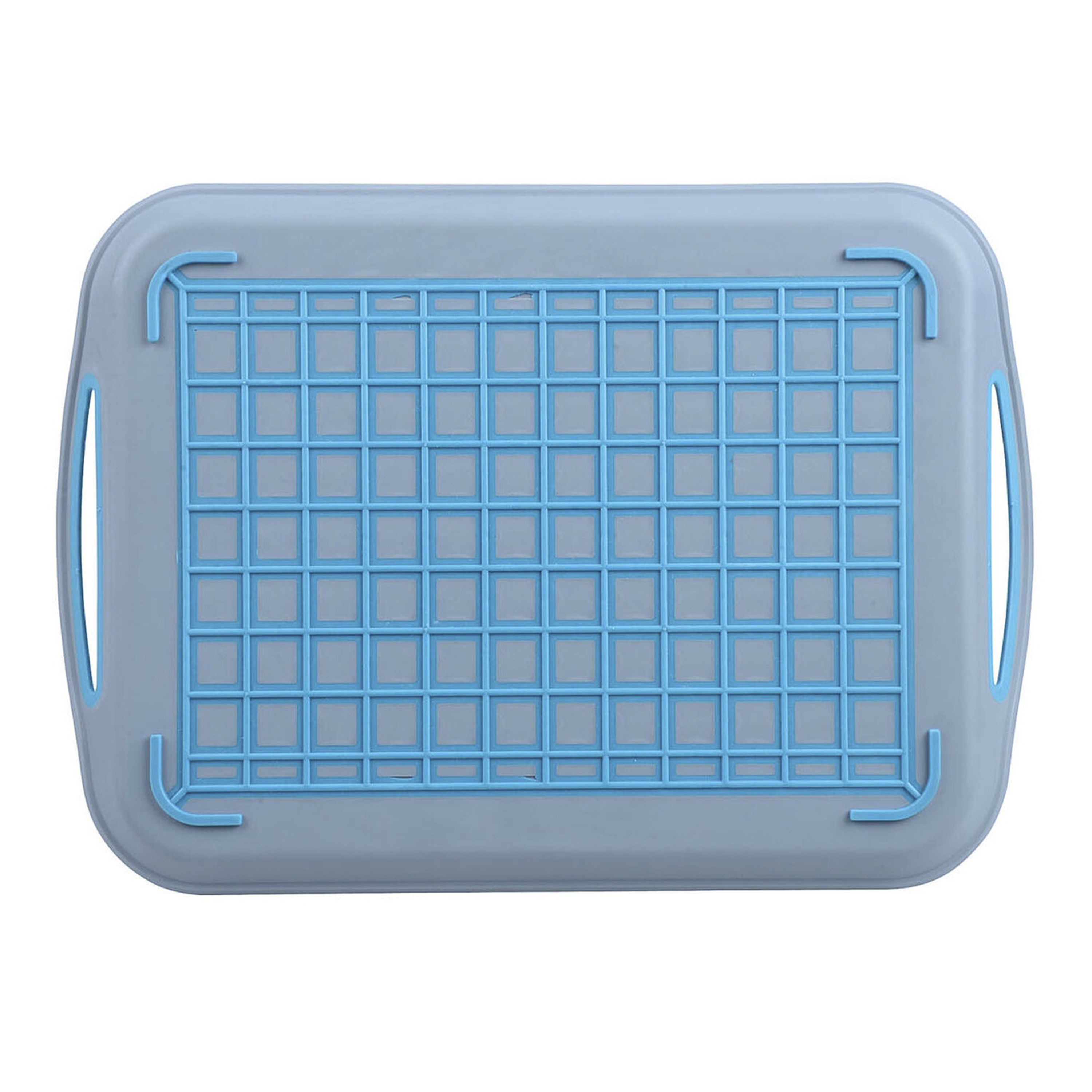 Anti-slip Tray