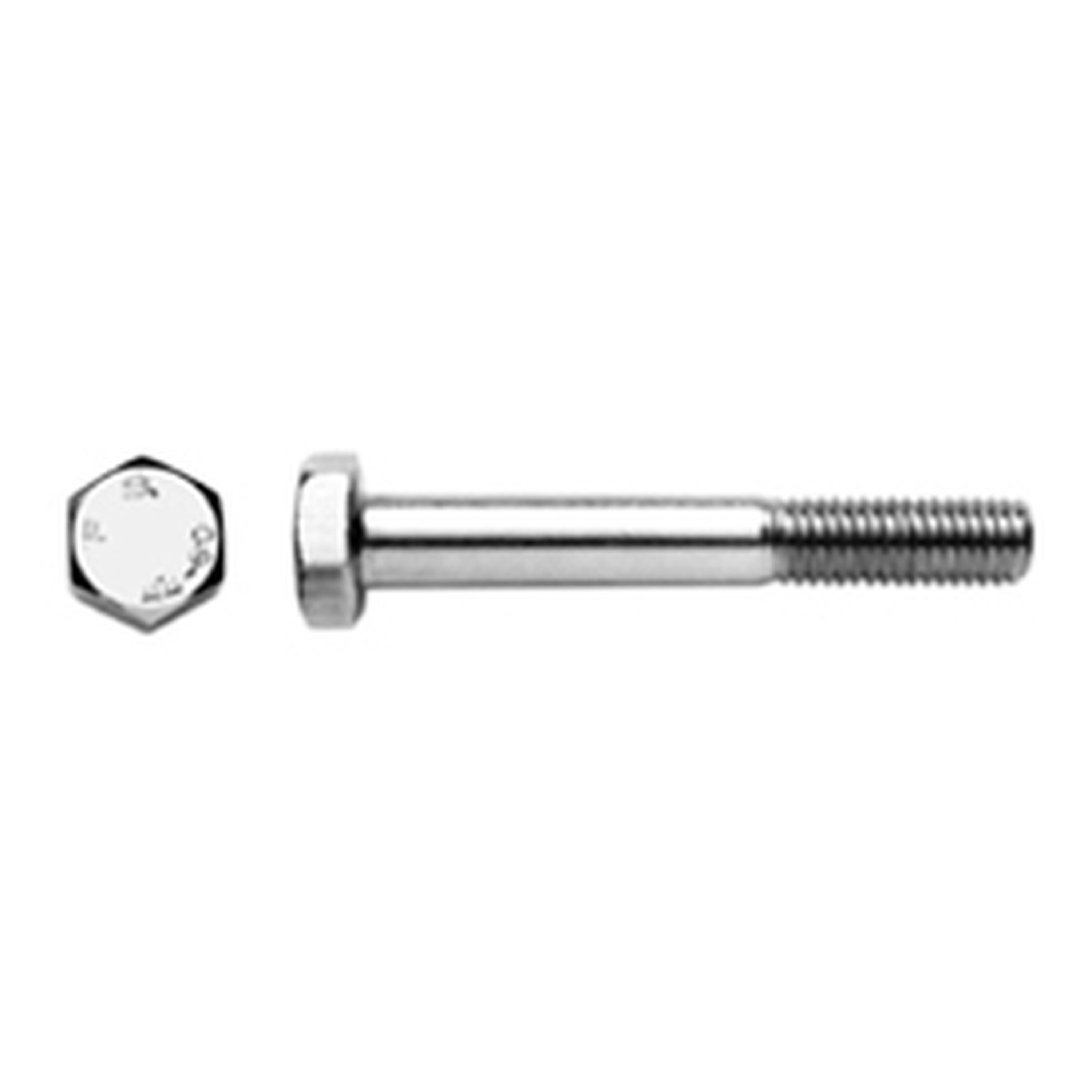 316 - Stainless Steel  - M6 x 50mm