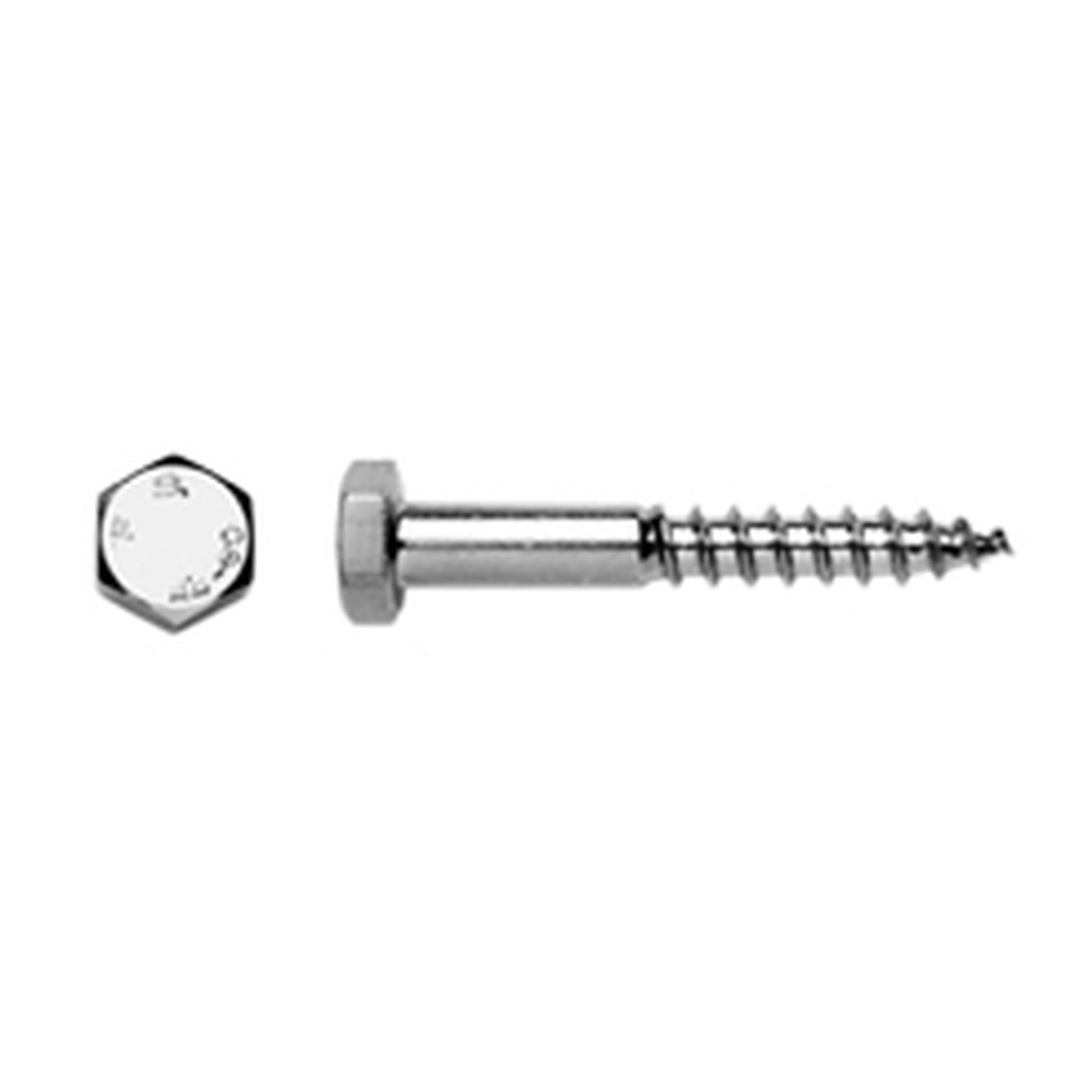 316 Hex Coach - Stainless Steel  - M6 x 50mm